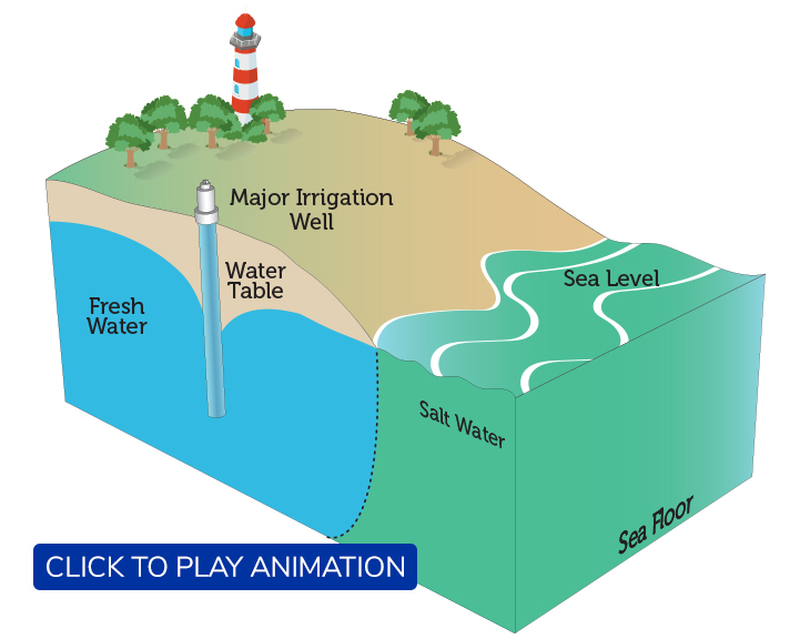 SALTWATER INTRUSION